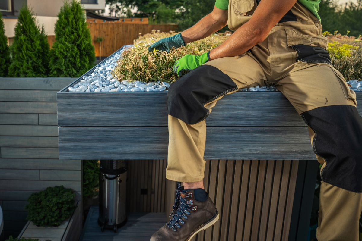 Bekijk de afbeelding in een volledig scherm